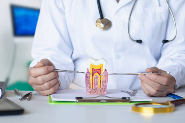 Best Emergency Denture Repair in Lemont, PA